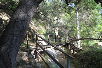 Enlarge photo 56
