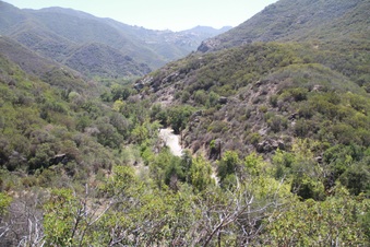 Enlarge photo 88