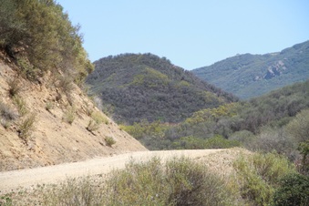 Enlarge photo 86