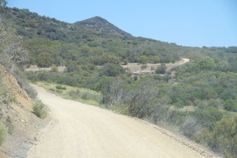 Enlarge photo 85