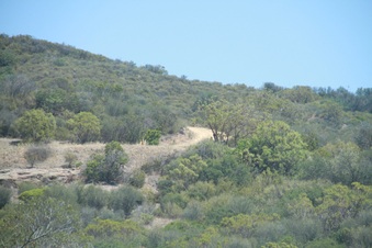 Enlarge photo 84
