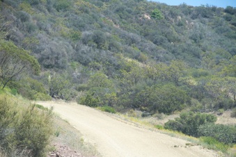 Enlarge photo 83