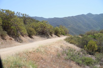 Enlarge photo 82