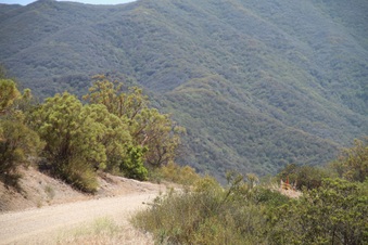 Enlarge photo 81