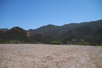 Enlarge photo 80