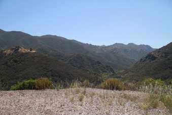 Enlarge photo 79