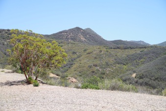 Enlarge photo 78