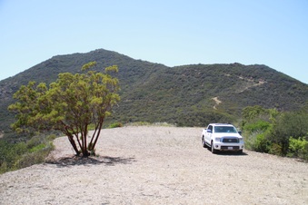 Enlarge photo 77