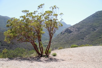 Enlarge photo 76