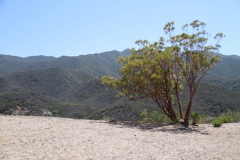 Enlarge photo 75