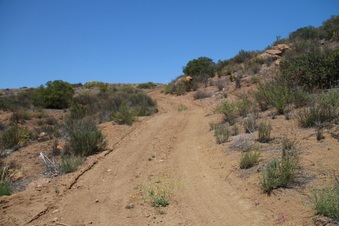 Enlarge photo 74