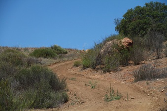 Enlarge photo 73