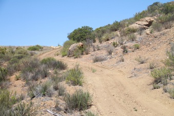 Enlarge photo 72