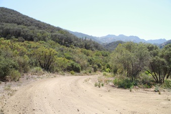 Enlarge photo 69