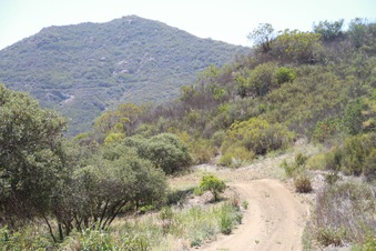 Enlarge photo 68