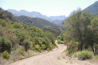 Enlarge photo 67