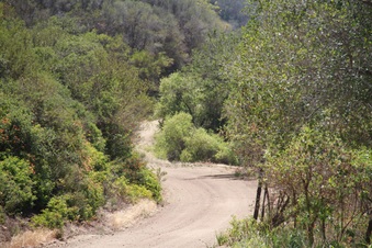 Enlarge photo 66