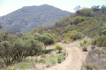 Enlarge photo 65