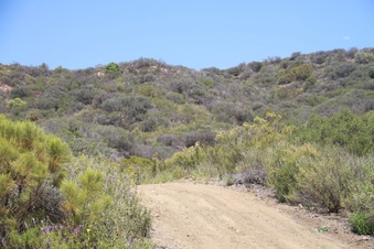Enlarge photo 64