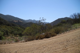 Enlarge photo 63