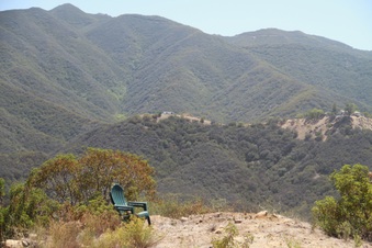 Enlarge photo 59