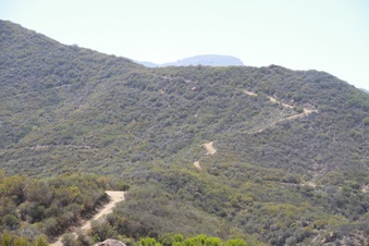 Enlarge photo 58