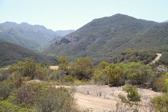 Enlarge photo 57