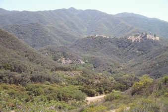Enlarge photo 56