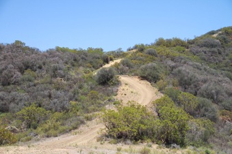 Enlarge photo 55