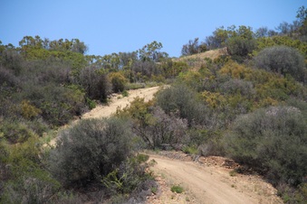 Enlarge photo 54
