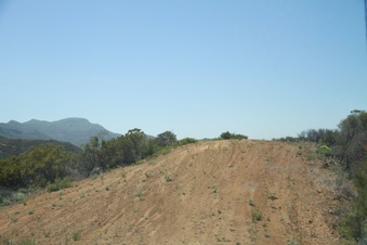Enlarge photo 52