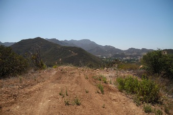 Enlarge photo 51