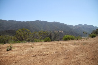 Enlarge photo 45