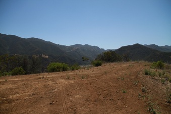 Enlarge photo 46
