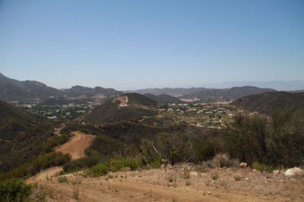 Enlarge photo 41