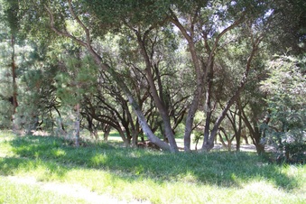 Enlarge photo 32