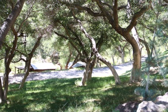 Enlarge photo 31