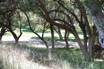 Enlarge photo 30