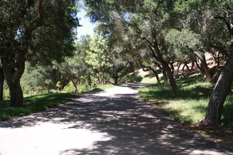 Enlarge photo 29