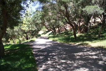 Enlarge photo 28