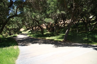 Enlarge photo 27
