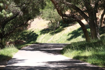 Enlarge photo 26