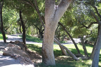 Enlarge photo 25