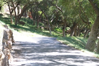 Enlarge photo 24