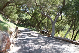Enlarge photo 23