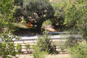 Enlarge photo 22