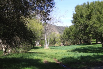 Enlarge photo 2