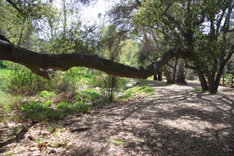 Enlarge photo 5