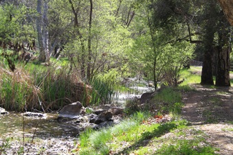 Enlarge photo 7