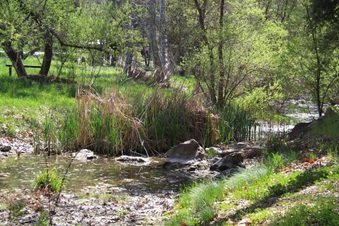 Enlarge photo 10